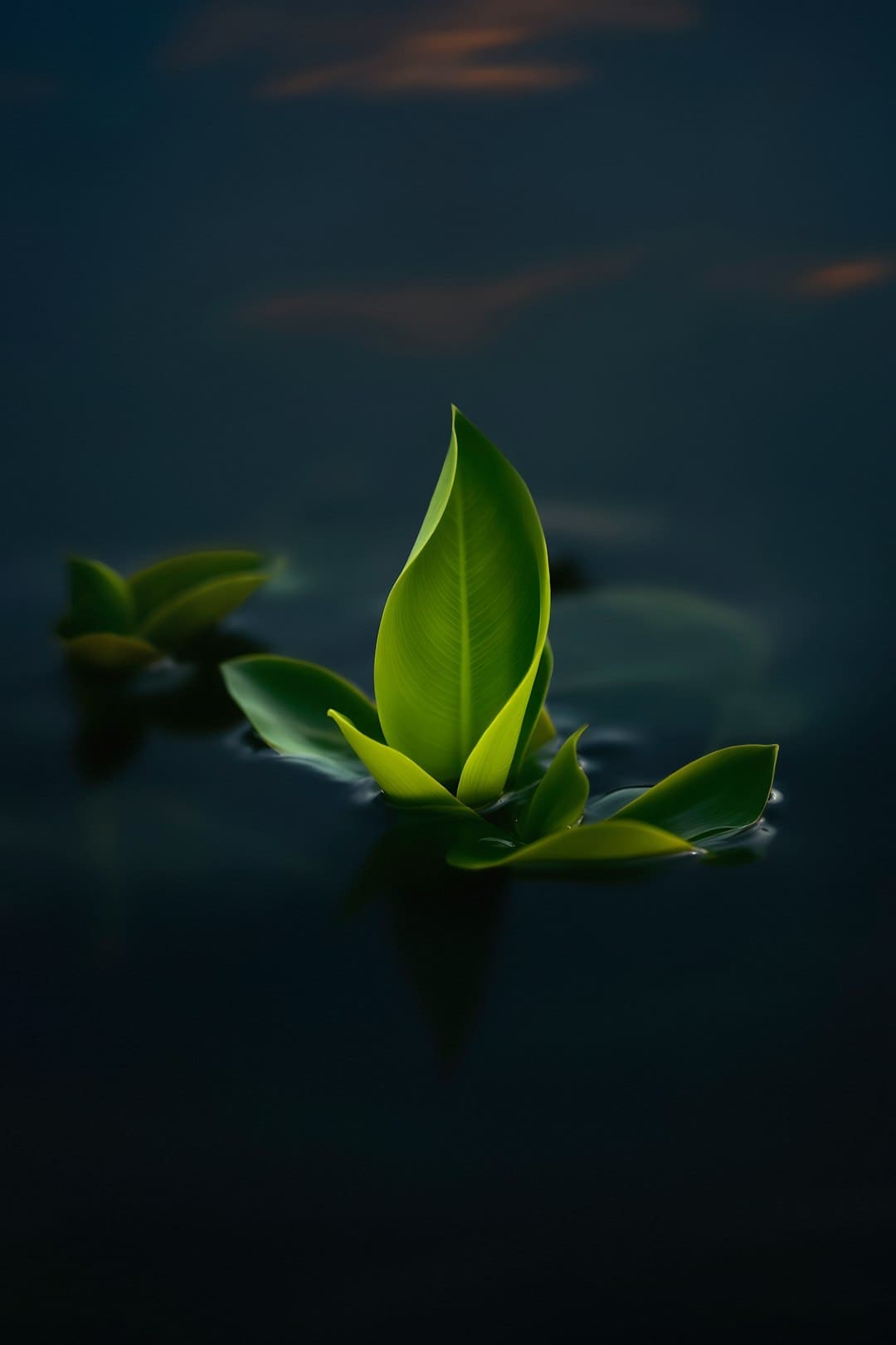 挖掘机7月出口量同比增逾三成 雅江水电项目将撬动千亿内需